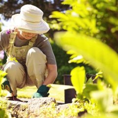 Fun and Beneficial Summer Activities for Seniors