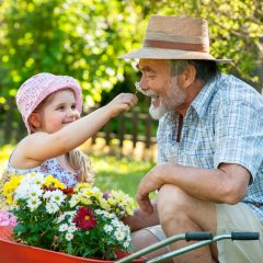 7 Spring Activities For Seniors